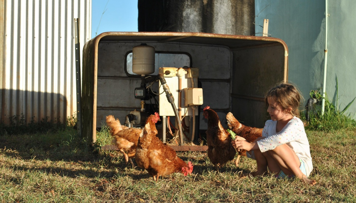 最新教你“中至九江可以开挂吗!详细分享装挂步骤 最新教你“中至九江可以开挂吗!详细分享装挂步骤