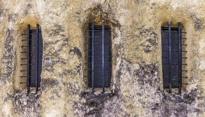 1分钟学会“鸿狐大厅可以开挂吗”(原来确实是有挂)