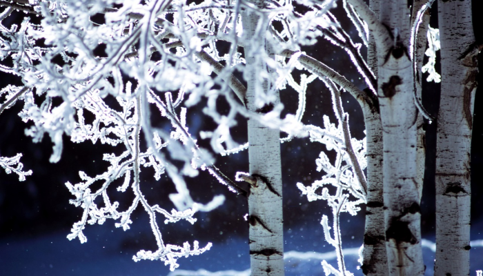 教程辅助!“哈糖大菠萝出分规律”详细开挂玩法 教程辅助!“哈糖大菠萝出分规律”详细开挂玩法