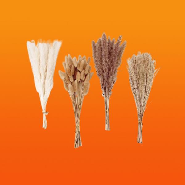 玩家辅助神器：“皮皮湖南跑胡子可以开挂吗”(原来确实是有挂)