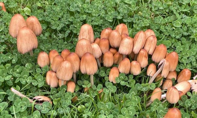 玩家必看教程“打哈儿麻将小程序怎么赢”分享用挂教程 玩家必看教程“打哈儿麻将小程序怎么赢”分享用挂教程