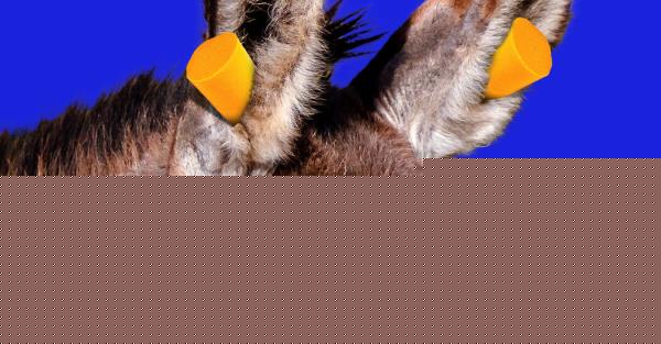 1分钟学会“中至吉安麻将有挂吗!分享用挂教程