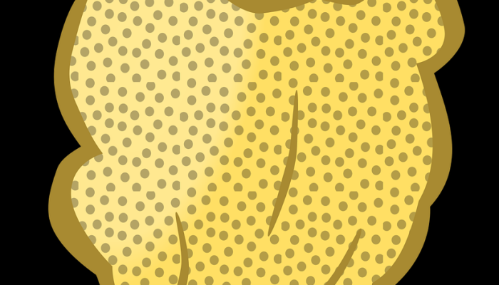 米老鼠在威利汽船恐怖电影中折磨渡轮上的乘客 米老鼠在威利汽船恐怖电影中折磨渡轮上的乘客