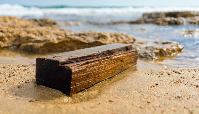 密歇根州共和党人将对卡拉莫主席的免职进行投票,因为她承诺不接受结果 密歇根州共和党人将对卡拉莫主席的免职进行投票,因为她承诺不接受结果