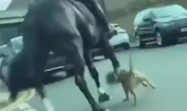 玩家必看教程“嘉乐互娱怎么开挂”(曝光透视必备猫腻)