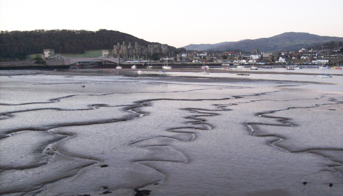 示威者冲进墨西哥总统府