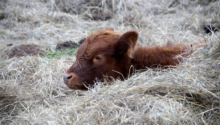 内布拉斯加州的彩票玩家9月份继续获得六位数的头奖 内布拉斯加州的彩票玩家9月份继续获得六位数的头奖