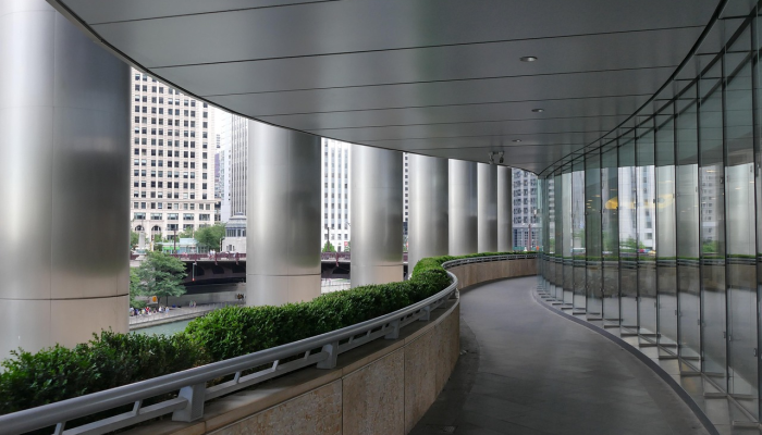 绿梅：春之韵的使者，风雪中的坚强战士