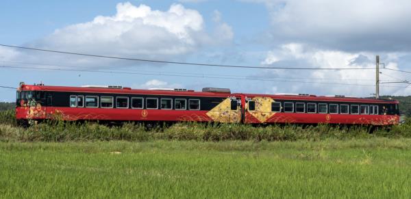 三选区补选开始投票 三选区补选开始投票