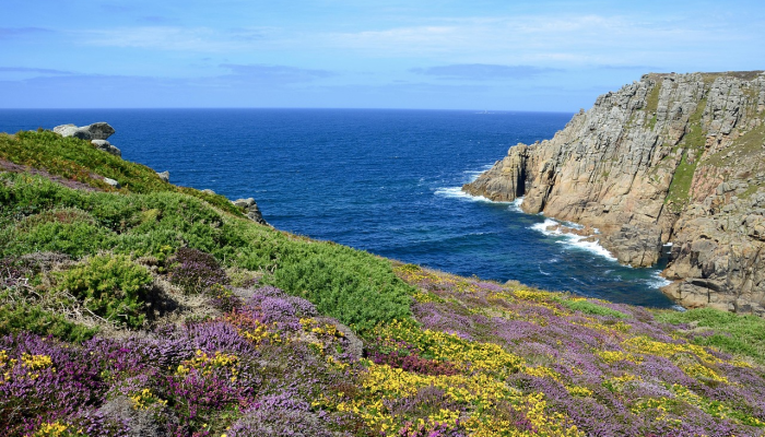 教程辅助!“微乐跑得快免费开挂神器下载”详细开挂玩法 教程辅助!“微乐跑得快免费开挂神器下载”详细开挂玩法