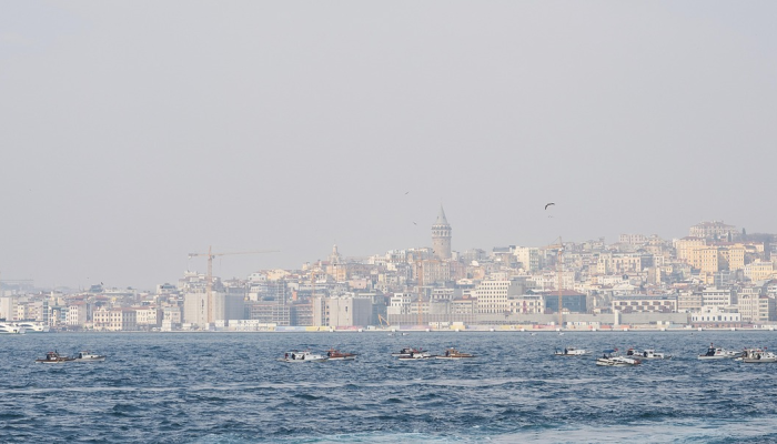 玩家辅助神器:“新海贝之城透视”开挂(透视)辅助教程 玩家辅助神器:“新海贝之城透视”开挂(透视)辅助教程