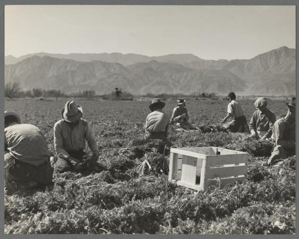 最新教你“雀神广东麻将免费开挂器下载微信小程序!分享用挂教程 最新教你“雀神广东麻将免费开挂器下载微信小程序!分享用挂教程