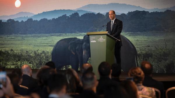 推荐一款”天府棋牌可以开挂吗”(曝光透视必备猫腻) 推荐一款”天府棋牌可以开挂吗”(曝光透视必备猫腻)