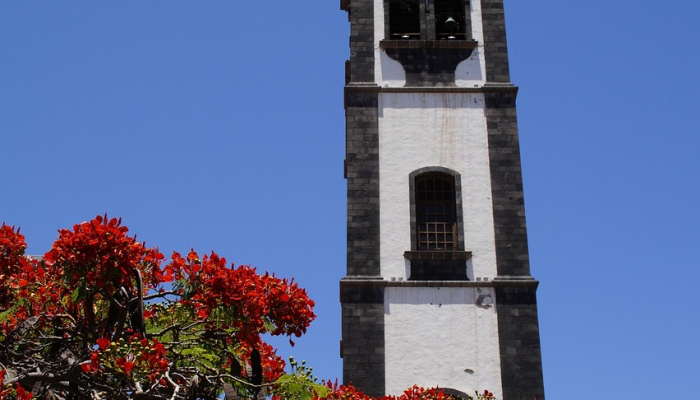 辅助神器“微乐四川麻将外卦神器免费安装!分享用挂教程