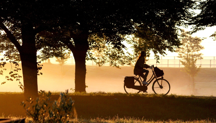 可用版本“新人皇牛牛有挂吗!详细分享装挂步骤 可用版本“新人皇牛牛有挂吗!详细分享装挂步骤