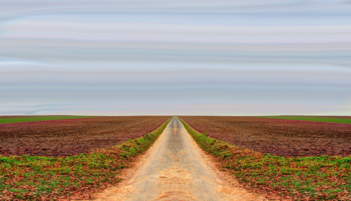 玩家必看教程“微乐龙江麻将开挂教程”(曝光透视必备猫腻) 玩家必看教程“微乐龙江麻将开挂教程”(曝光透视必备猫腻)