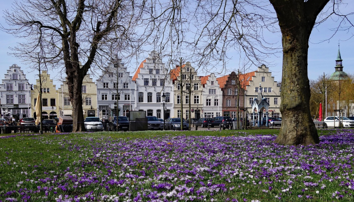 特斯拉Model Y vs. Genesis GV60:看看哪款电动汽车更值得买 特斯拉Model Y vs. Genesis GV60:看看哪款电动汽车更值得买