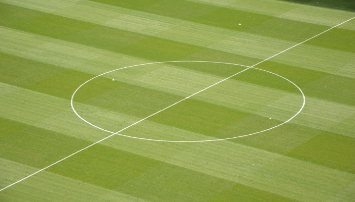 想要开PPF账户吗？检查功能，税收优惠，利率