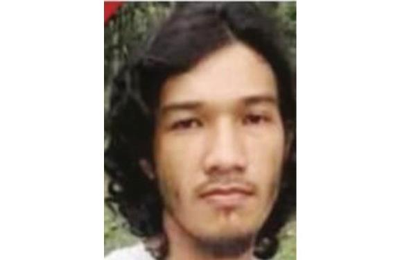 实测辅助“博乐填大坑辅助软件下载安卓”(原来确实是有挂)