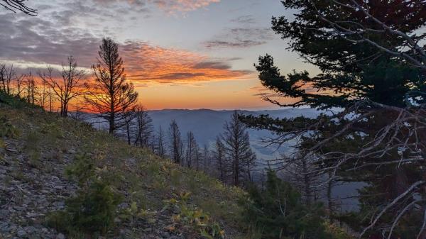 辅助神器“同城字牌跑胡子有挂吗”开挂(透视)辅助教程 辅助神器“同城字牌跑胡子有挂吗”开挂(透视)辅助教程