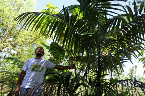 皇家恩菲尔德霰弹枪价格，颜色，印度推出的细节