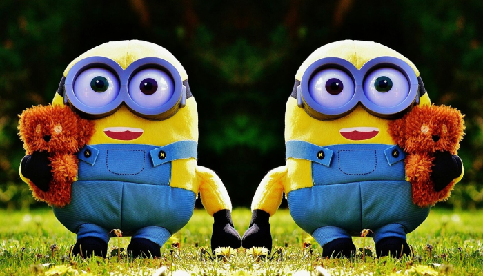 委内瑞拉就领土争端进行投票后，圭亚那将保持警惕