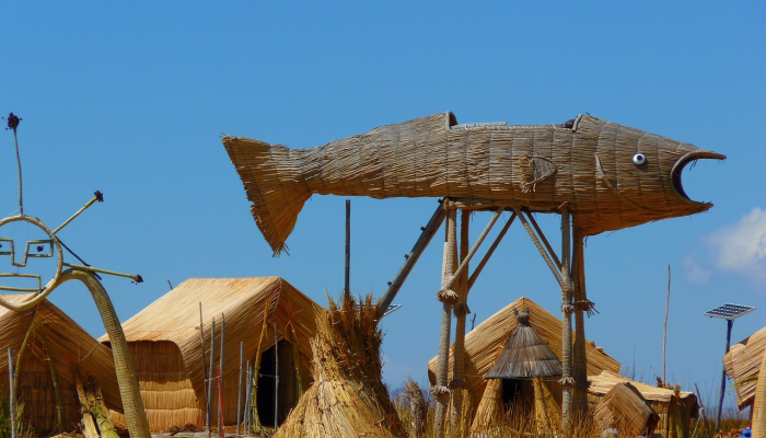 秘鲁的太平洋斜坡正在变绿——这就是为什么这不是好消息 秘鲁的太平洋斜坡正在变绿——这就是为什么这不是好消息