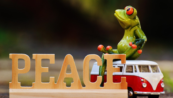 沃尔玛和亚马逊都采取了顾客友好的举措