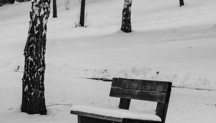 普拉达冬季男装的“办公室与自然