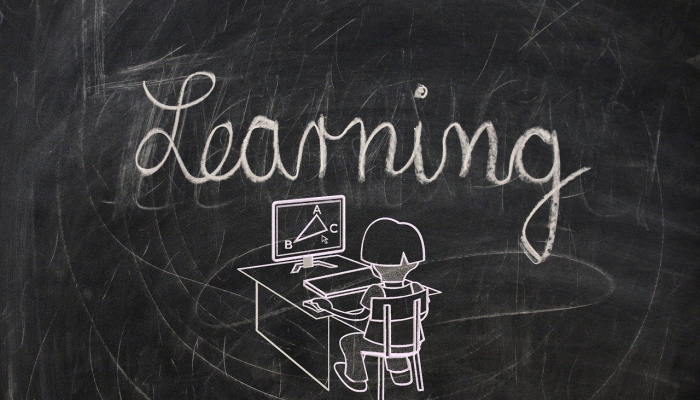 研究发现,未来的防弹衣可能基于这种奇怪的蘑菇 研究发现,未来的防弹衣可能基于这种奇怪的蘑菇