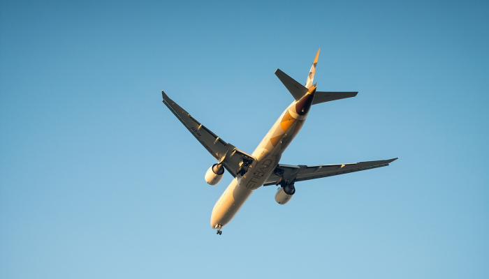 油籽植物能成为未来更环保的航空燃料吗？