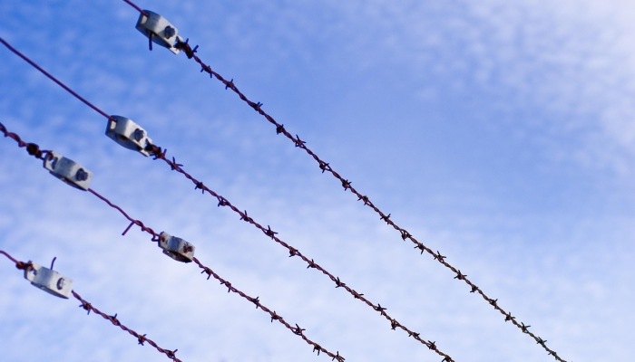 只有炮火、钢铁和死亡:以色列围困和轰炸下的加沙居民 只有炮火、钢铁和死亡:以色列围困和轰炸下的加沙居民