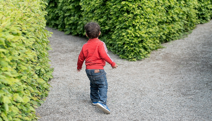 工作生活：我有一辆电动自行车，它让爬山变得不那么令人生畏