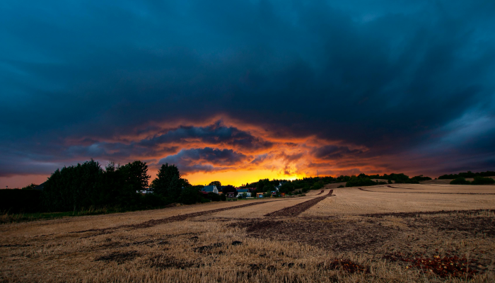 在恶劣的天气条件下，德克萨斯州的消防员正在与该州最大的野火作战