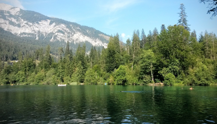 帕利塞德斯塔霍湖的目击者讲述了帮助雪崩救援的经历 帕利塞德斯塔霍湖的目击者讲述了帮助雪崩救援的经历