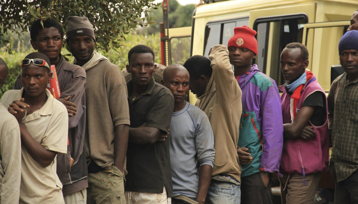 德国总统请求原谅在坦桑尼亚的殖民罪行 德国总统请求原谅在坦桑尼亚的殖民罪行