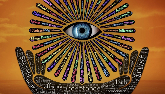 快速脑转化:对迷幻辅助心理治疗的神经学见解 快速脑转化:对迷幻辅助心理治疗的神经学见解