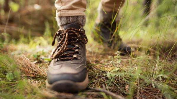 玩家辅助神器:“微乐跑得快为什么一直输!详细分享装挂步骤 玩家辅助神器:“微乐跑得快为什么一直输!详细分享装挂步骤