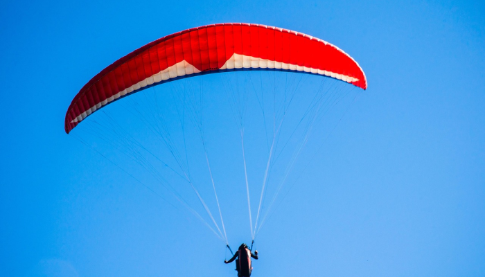 教程辅助!“椰子乐动有挂吗”其实确实有挂 教程辅助!“椰子乐动有挂吗”其实确实有挂