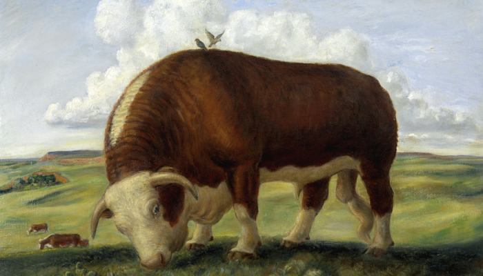 推荐一款”心悦拱牛有挂吗”其实确实有挂 推荐一款”心悦拱牛有挂吗”其实确实有挂