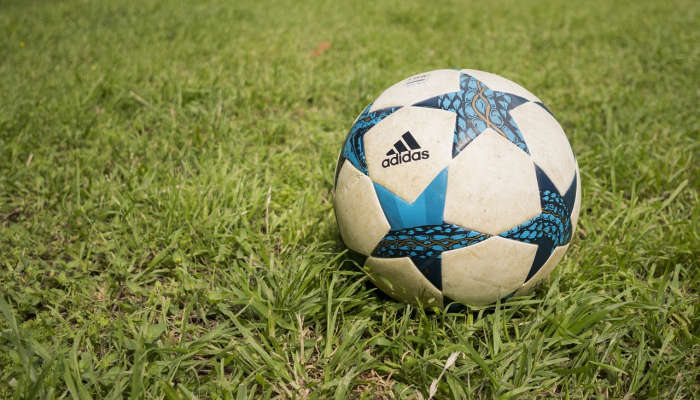 足球警察在欧联杯比赛发生冲突后逮捕了46人