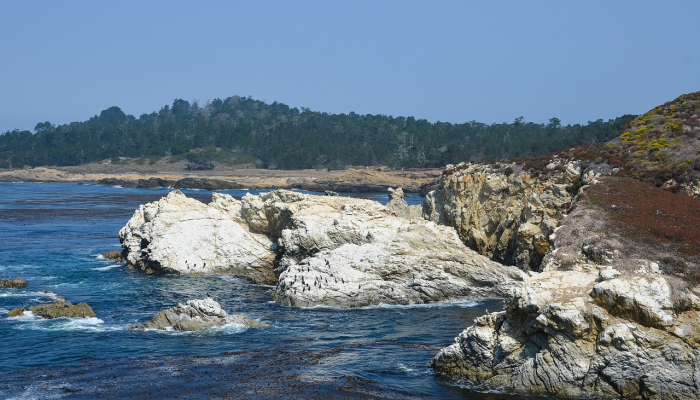巨大的生物在加利福尼亚海岸展示它“巨大”的力量见图