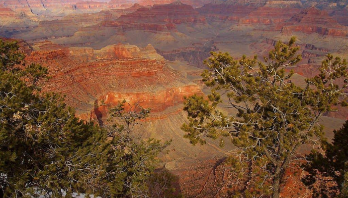 安华说，砂拉越在确保国家政治稳定方面做出了巨大贡献