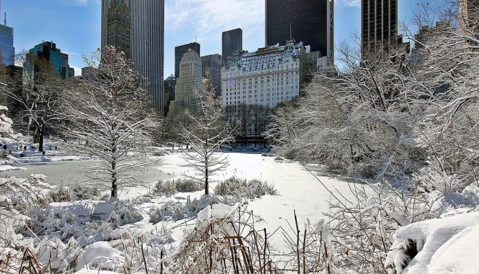 下周纽约市和三州将迎来更多冬季风暴 下周纽约市和三州将迎来更多冬季风暴
