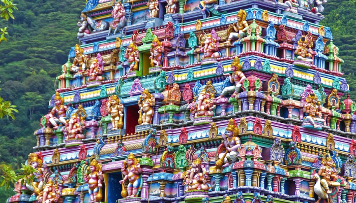 《虚构》和《飞越加州》将在未来世界上映