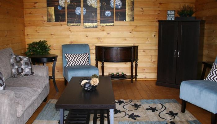 如何让宠物友好的室内设计不牺牲风格