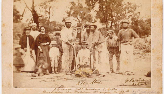 “梨形”生物——有着不寻常的生殖器——在澳大利亚被发现看到新物种