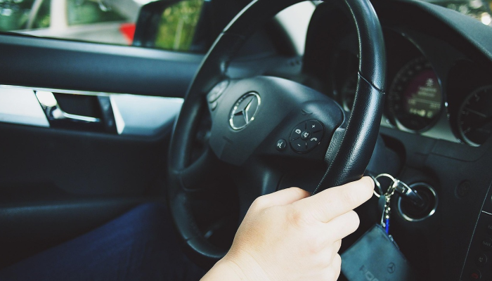 佛罗里达州将禁止狗狗把头伸出车窗外