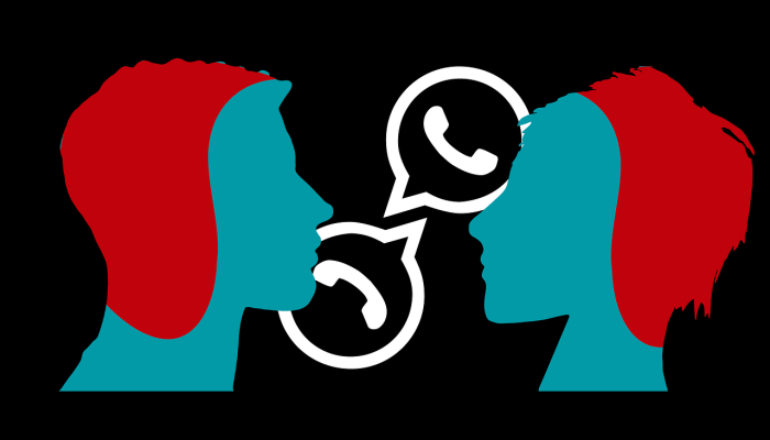 体育——德勤(Deloitte): 2024年,女性精英体育收入将突破10亿美元 体育——德勤(Deloitte): 2024年,女性精英体育收入将突破10亿美元