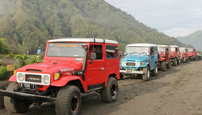 印尼警方拦下一辆载有200多条狗的卡车准备屠宰 印尼警方拦下一辆载有200多条狗的卡车准备屠宰